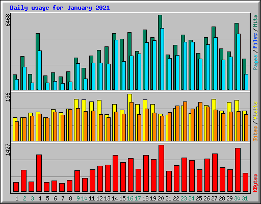 Daily usage for January 2021