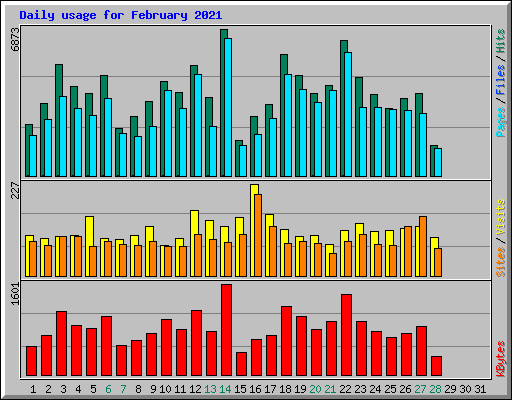 Daily usage for February 2021