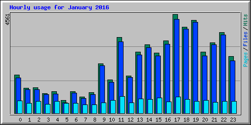 Hourly usage for January 2016