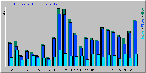 Hourly usage for June 2017