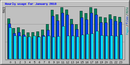 Hourly usage for January 2018