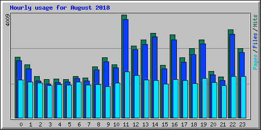 Hourly usage for August 2018