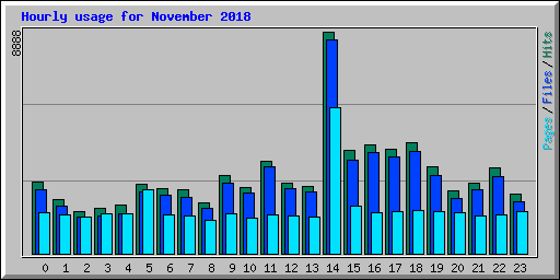 Hourly usage for November 2018