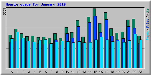 Hourly usage for January 2019