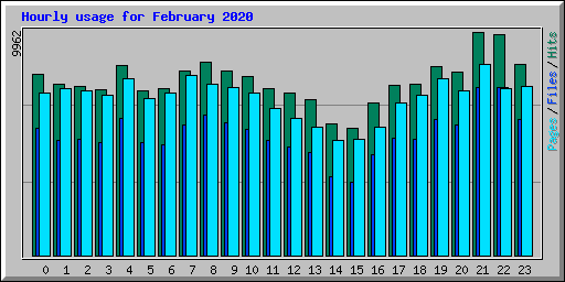 Hourly usage for February 2020