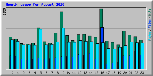 Hourly usage for August 2020