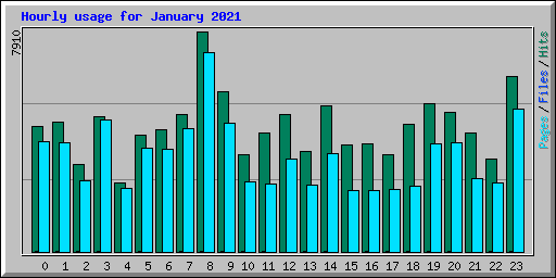 Hourly usage for January 2021