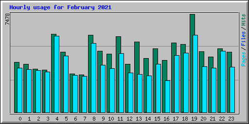 Hourly usage for February 2021