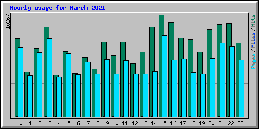Hourly usage for March 2021