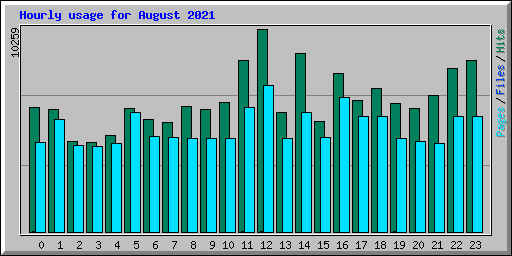 Hourly usage for August 2021