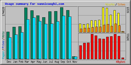 Usage summary for vannicuoghi.com
